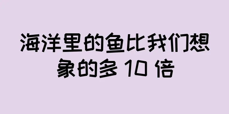 海洋里的鱼比我们想象的多 10 倍