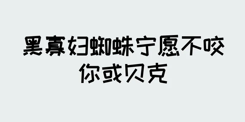 黑寡妇蜘蛛宁愿不咬你或贝克