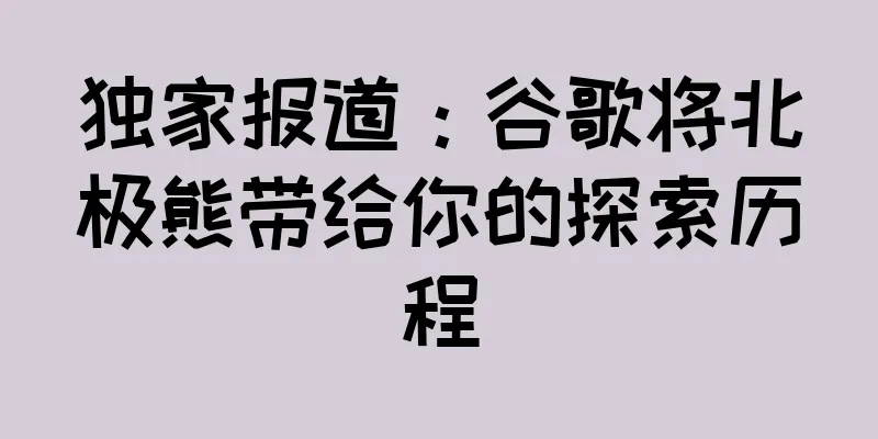 独家报道：谷歌将北极熊带给你的探索历程