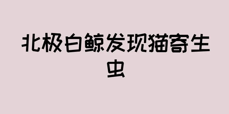 北极白鲸发现猫寄生虫