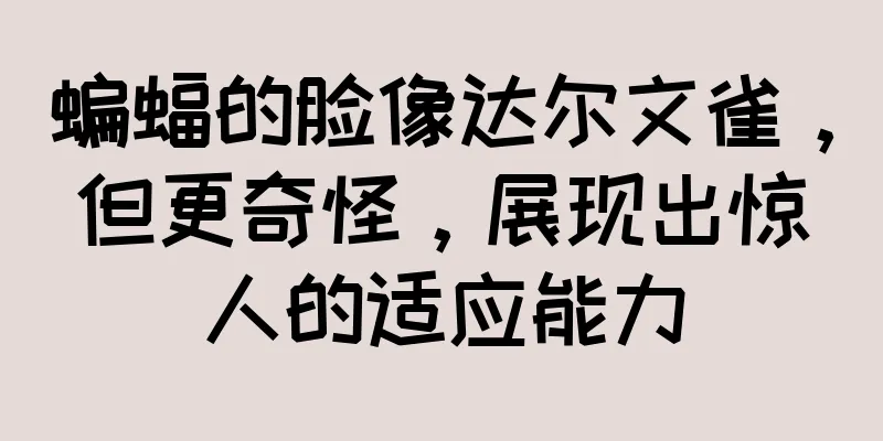 蝙蝠的脸像达尔文雀，但更奇怪，展现出惊人的适应能力