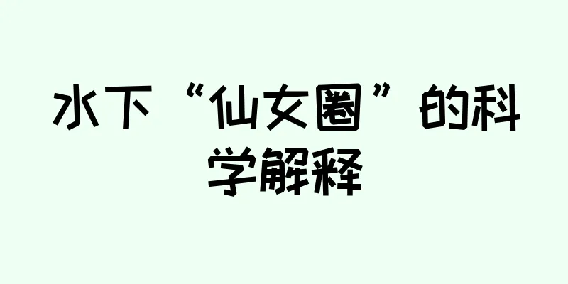 水下“仙女圈”的科学解释