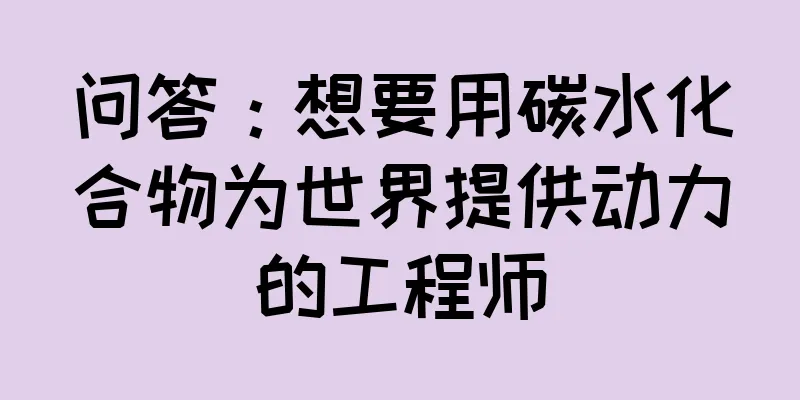问答：想要用碳水化合物为世界提供动力的工程师