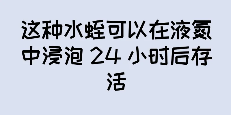 这种水蛭可以在液氮中浸泡 24 小时后存活
