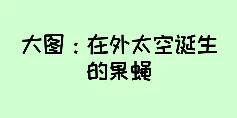 大图：在外太空诞生的果蝇