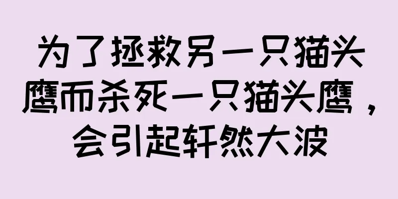 为了拯救另一只猫头鹰而杀死一只猫头鹰，会引起轩然大波