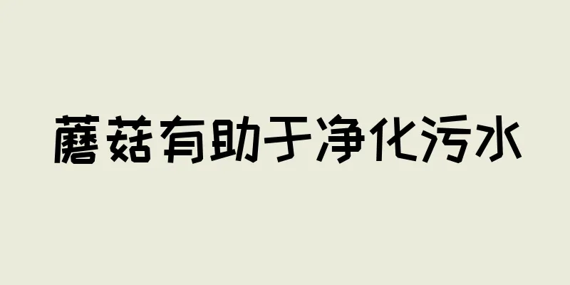蘑菇有助于净化污水
