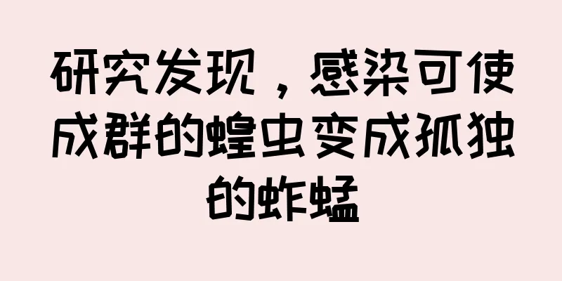 研究发现，感染可使成群的蝗虫变成孤独的蚱蜢