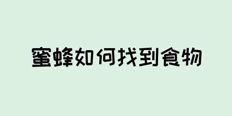 蜜蜂如何找到食物