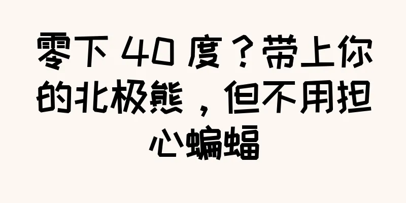 零下 40 度？带上你的北极熊，但不用担心蝙蝠