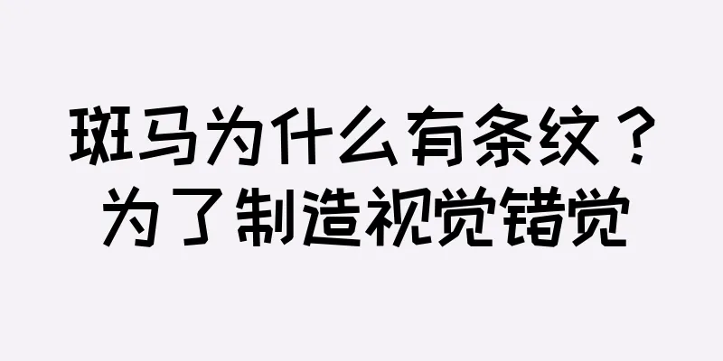 斑马为什么有条纹？为了制造视觉错觉