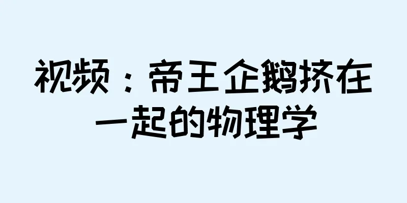 视频：帝王企鹅挤在一起的物理学