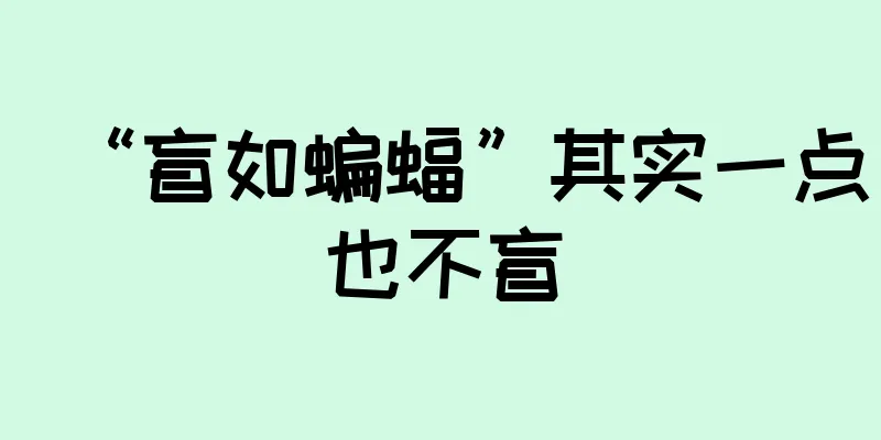 “盲如蝙蝠”其实一点也不盲