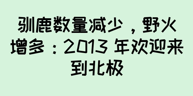 驯鹿数量减少，野火增多：2013 年欢迎来到北极