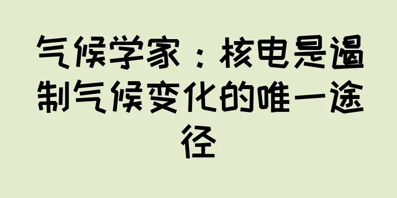 气候学家：核电是遏制气候变化的唯一途径