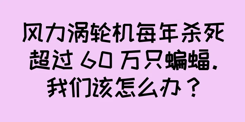 风力涡轮机每年杀死超过 60 万只蝙蝠。我们该怎么办？