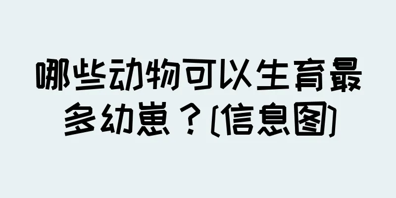 哪些动物可以生育最多幼崽？[信息图]
