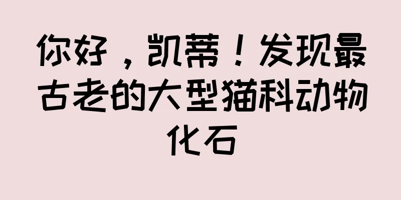 你好，凯蒂！发现最古老的大型猫科动物化石