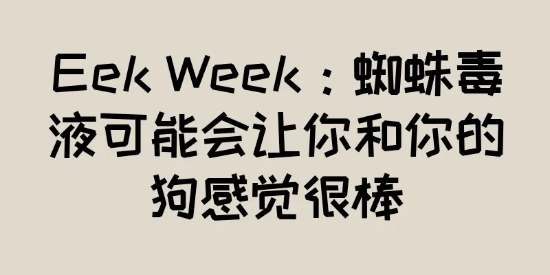 Eek Week：蜘蛛毒液可能会让你和你的狗感觉很棒