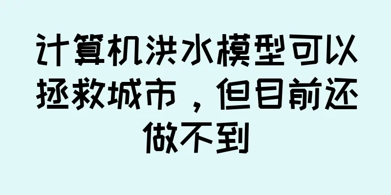 计算机洪水模型可以拯救城市，但目前还做不到