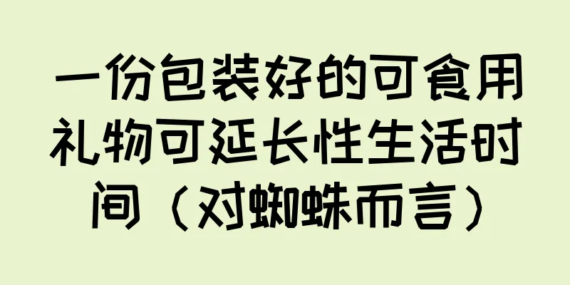一份包装好的可食用礼物可延长性生活时间（对蜘蛛而言）