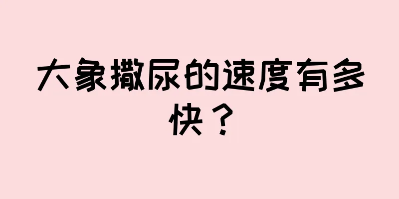 大象撒尿的速度有多快？