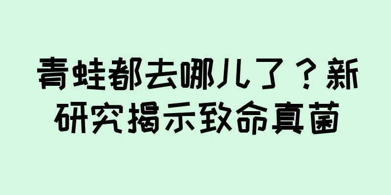 青蛙都去哪儿了？新研究揭示致命真菌