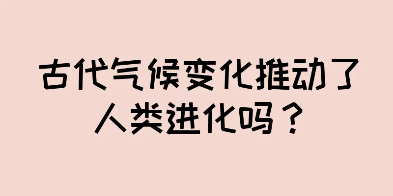 古代气候变化推动了人类进化吗？