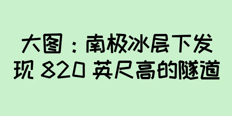 大图：南极冰层下发现 820 英尺高的隧道