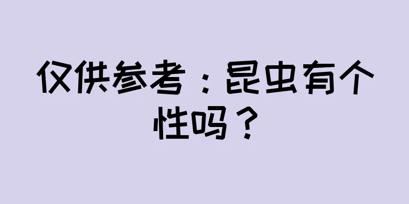 仅供参考：昆虫有个性吗？