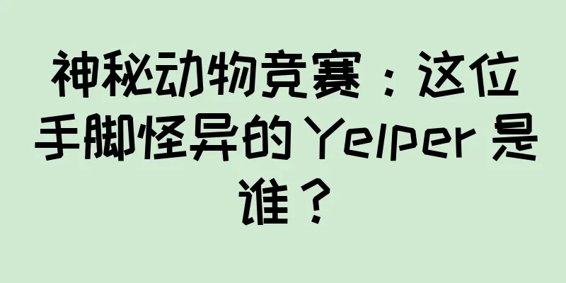 神秘动物竞赛：这位手脚怪异的 Yelper 是谁？