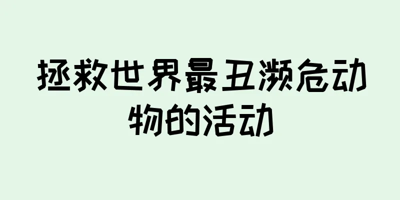 拯救世界最丑濒危动物的活动