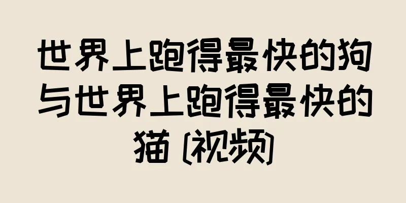 世界上跑得最快的狗与世界上跑得最快的猫 [视频]