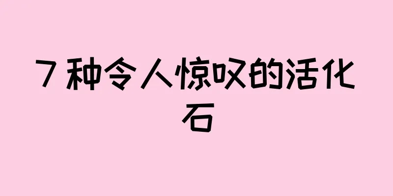 7 种令人惊叹的活化石