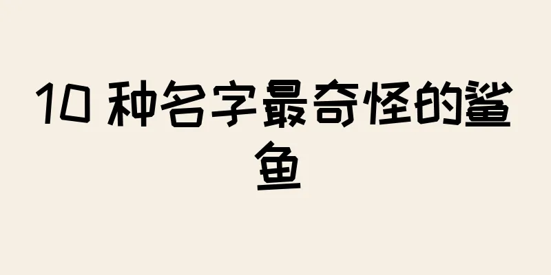 10 种名字最奇怪的鲨鱼