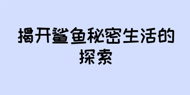 揭开鲨鱼秘密生活的探索