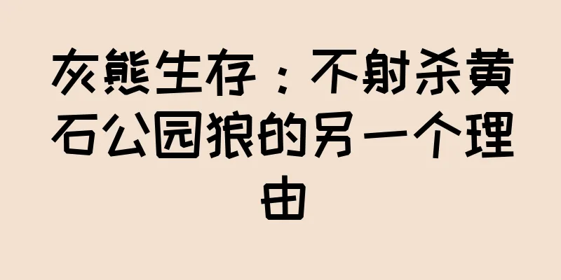 灰熊生存：不射杀黄石公园狼的另一个理由