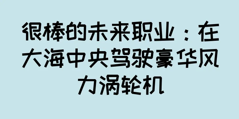 很棒的未来职业：在大海中央驾驶豪华风力涡轮机