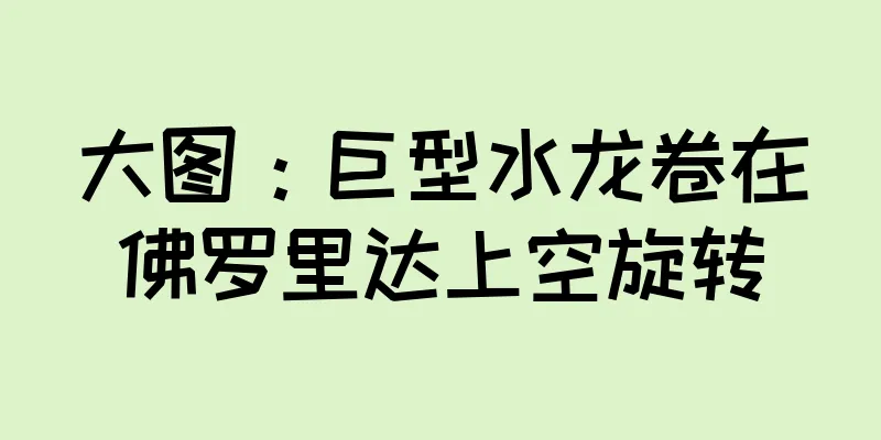 大图：巨型水龙卷在佛罗里达上空旋转