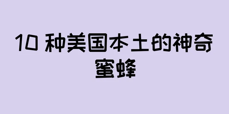 10 种美国本土的神奇蜜蜂