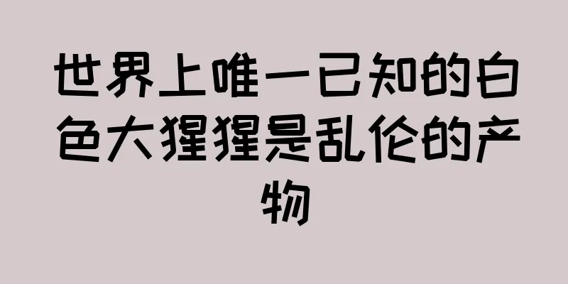 世界上唯一已知的白色大猩猩是乱伦的产物