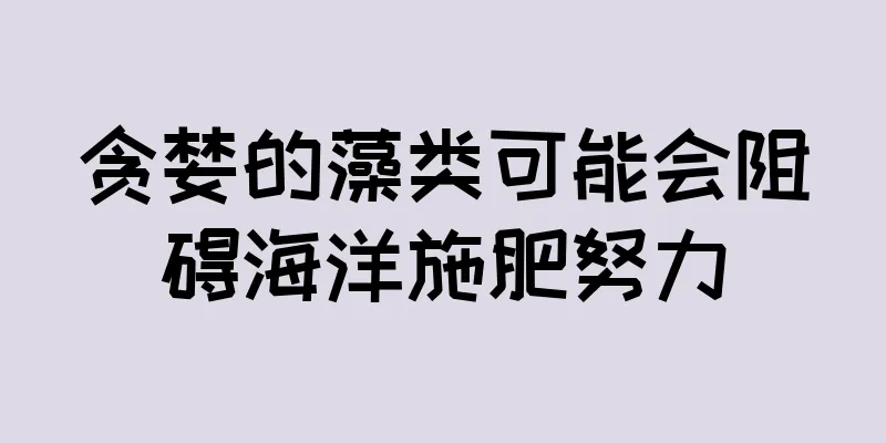贪婪的藻类可能会阻碍海洋施肥努力