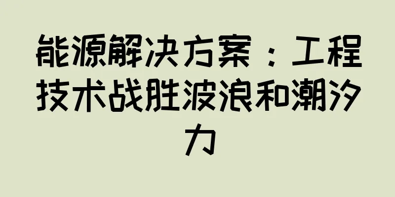 能源解决方案：工程技术战胜波浪和潮汐力