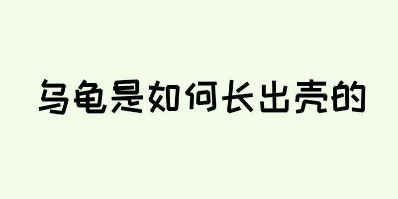 乌龟是如何长出壳的