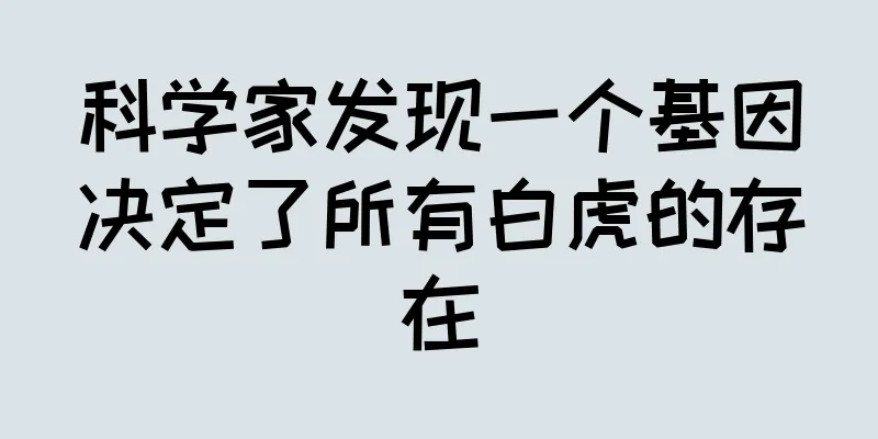 科学家发现一个基因决定了所有白虎的存在