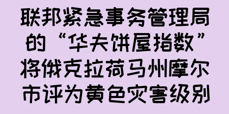 联邦紧急事务管理局的“华夫饼屋指数”将俄克拉荷马州摩尔市评为黄色灾害级别