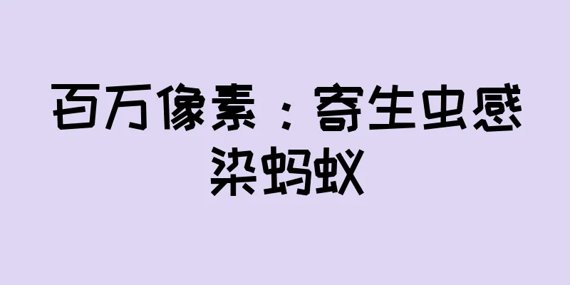 百万像素：寄生虫感染蚂蚁