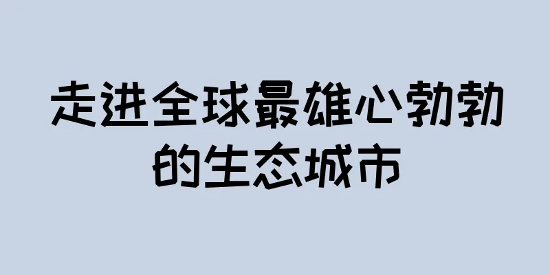 走进全球最雄心勃勃的生态城市