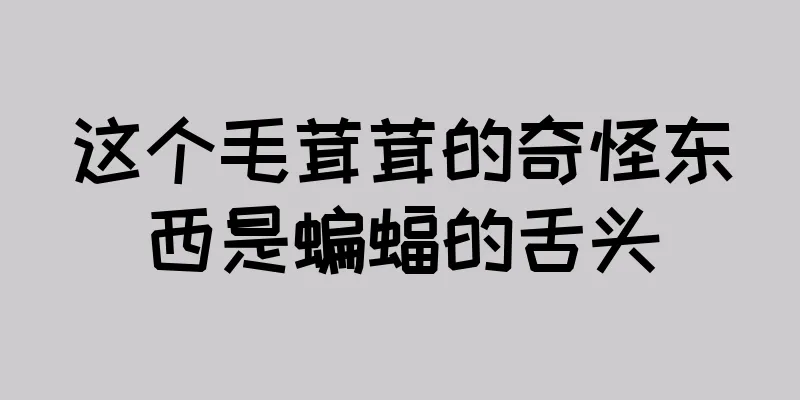 这个毛茸茸的奇怪东西是蝙蝠的舌头