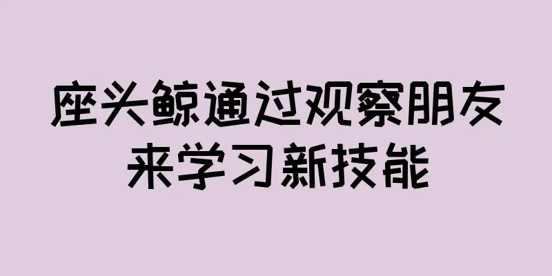 座头鲸通过观察朋友来学习新技能